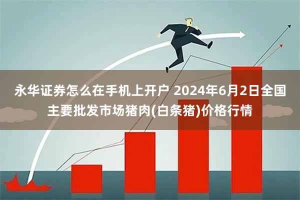 永华证券怎么在手机上开户 2024年6月2日全国主要批发市场猪肉(白条猪)价格行情