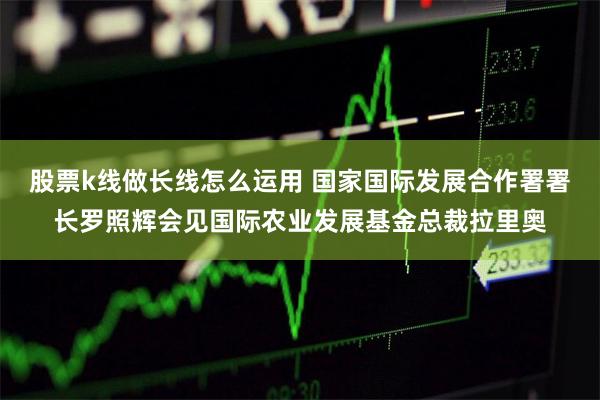 股票k线做长线怎么运用 国家国际发展合作署署长罗照辉会见国际农业发展基金总裁拉里奥