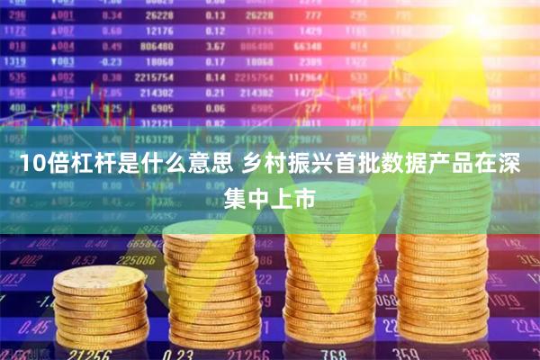 10倍杠杆是什么意思 乡村振兴首批数据产品在深集中上市