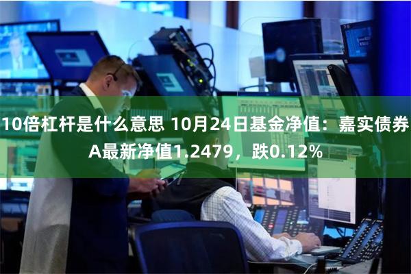 10倍杠杆是什么意思 10月24日基金净值：嘉实债券A最新净值1.2479，跌0.12%