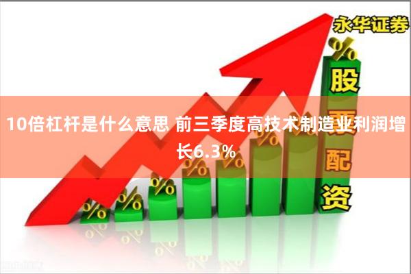 10倍杠杆是什么意思 前三季度高技术制造业利润增长6.3%