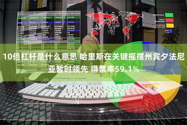 10倍杠杆是什么意思 哈里斯在关键摇摆州宾夕法尼亚暂时领先 得票率59.1%