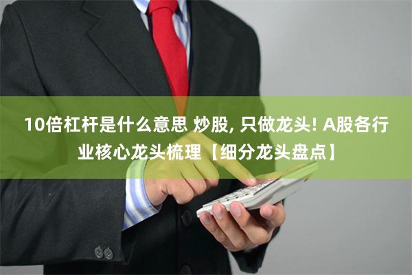 10倍杠杆是什么意思 炒股, 只做龙头! A股各行业核心龙头梳理【细分龙头盘点】