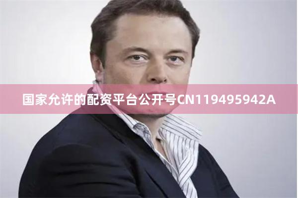 国家允许的配资平台公开号CN119495942A