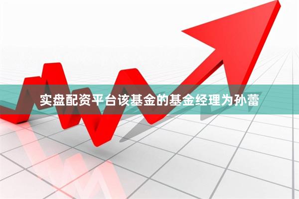 实盘配资平台该基金的基金经理为孙蕾